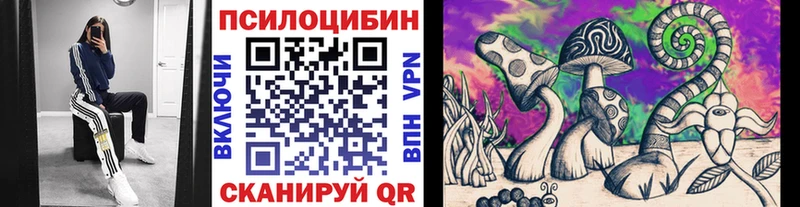 Псилоцибиновые грибы GOLDEN TEACHER  Купить  Сухиничи 